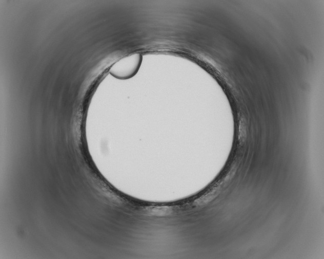 X0000112871410200910021323