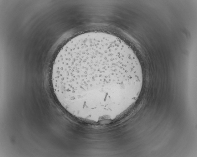 X0000112871411200910021323