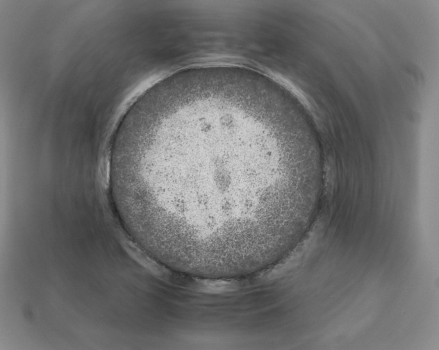 X0000112871413200910021323