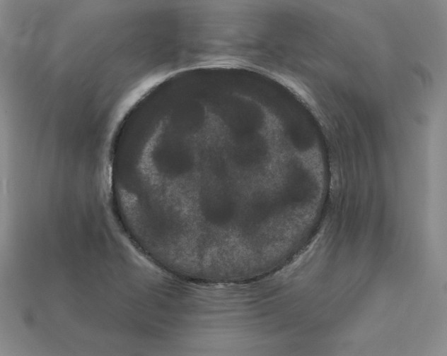 X0000112871414200910021323