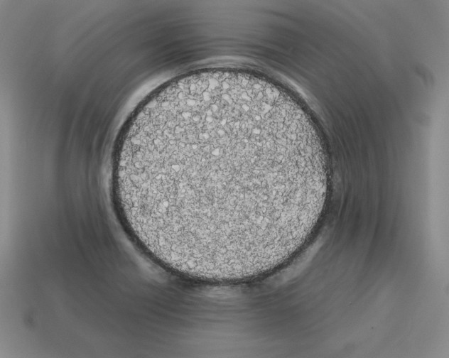 X0000112871418200910021323