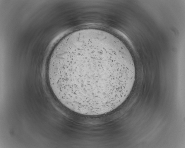 X0000112871419200910021323