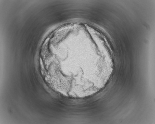 X0000112871421200910021323