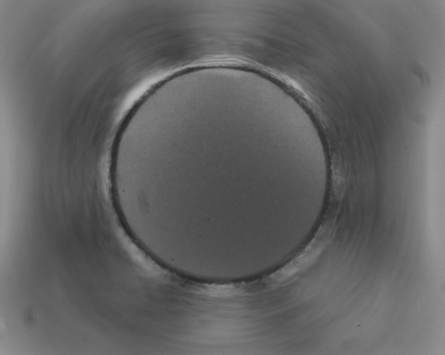 X0000112871422200910021323