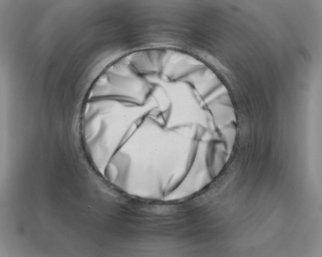 X0000112871423200910021323