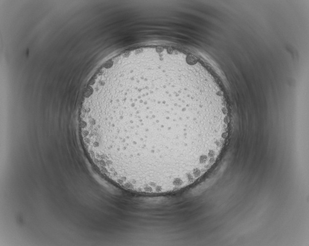 X0000112871425200910021323