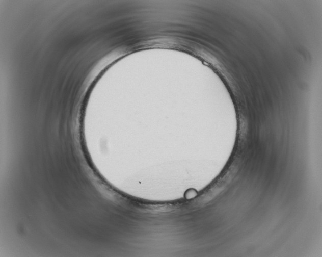 X0000112871426200910021323