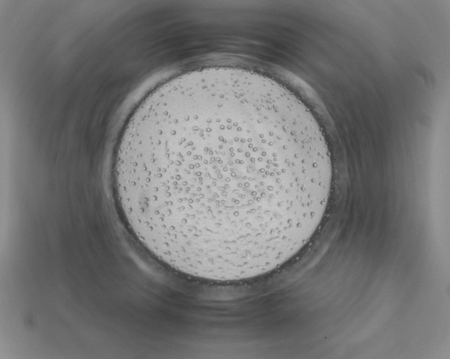 X0000112871427200910021323