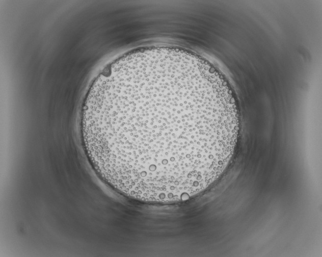 X0000112871429200910021323