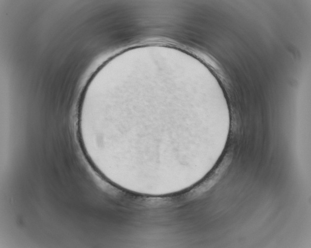 X0000112871430200910021323