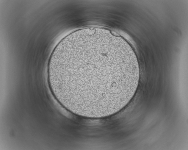 X0000112871431200910021323