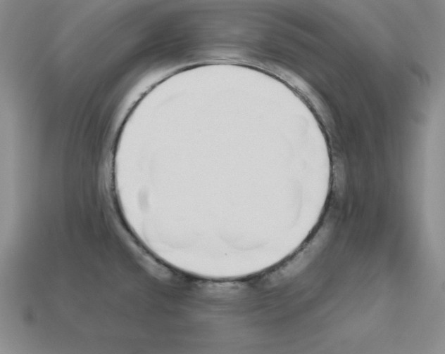 X0000112871432200910021323