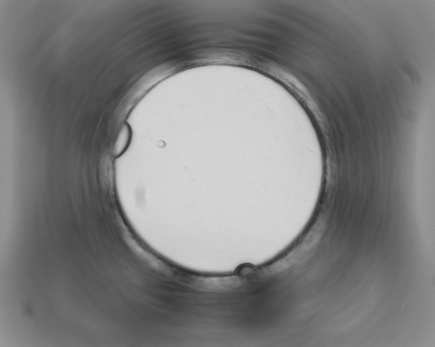 X0000112871433200910021323