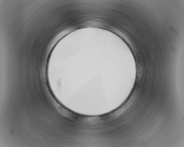 X0000112871434200910021323