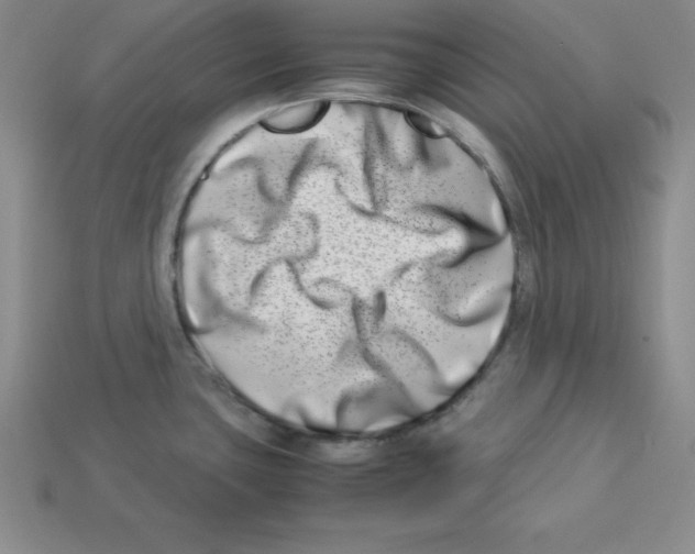 X0000112871435200910021323