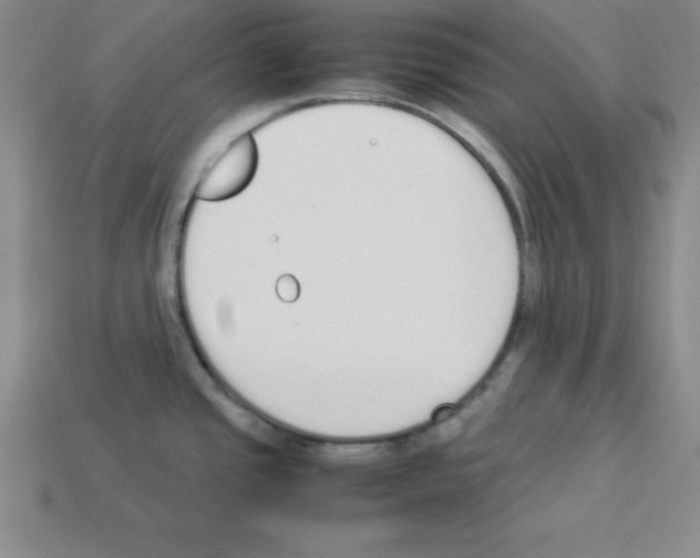 X0000112871437200910021323