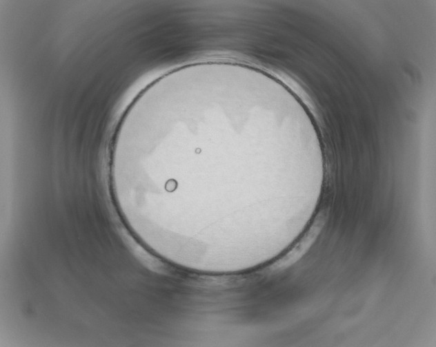 X0000112871438200910021323