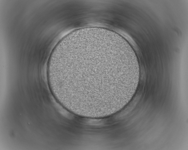 X0000112871439200910021323