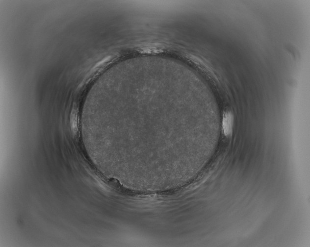 X0000112871444200910021323