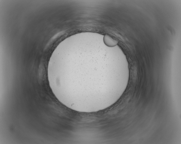 X0000112871446200910021323