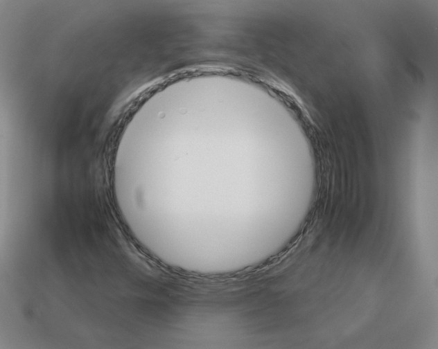 X0000112871448200910021323