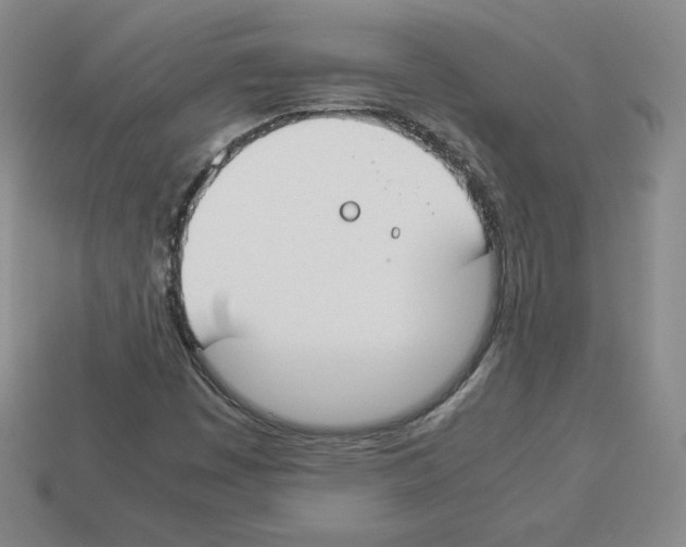 X0000112871449200910021322