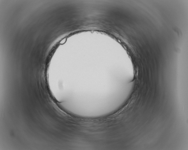 X0000112871452200910021322