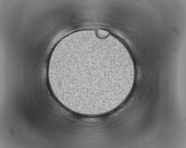 X0000112871459200910021322