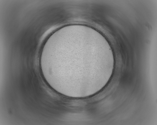 X0000112871462200910021322