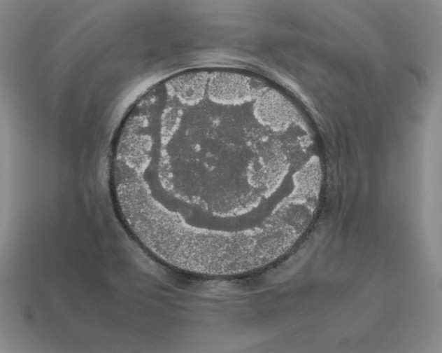 X0000112871463200910021322