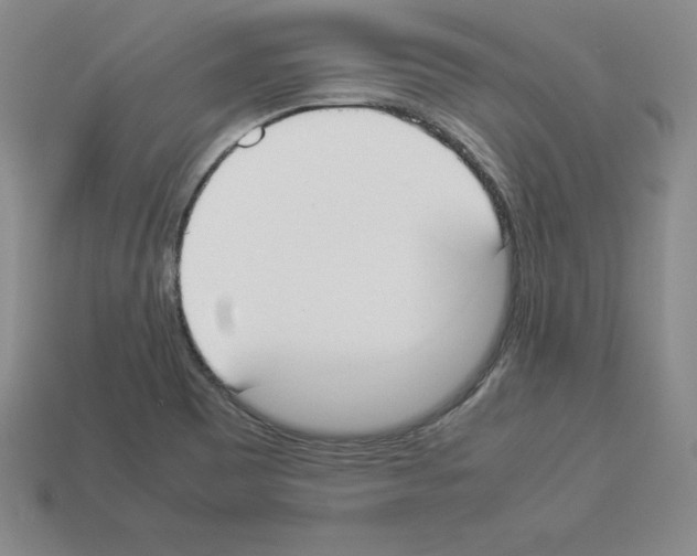 X0000112871465200910021322