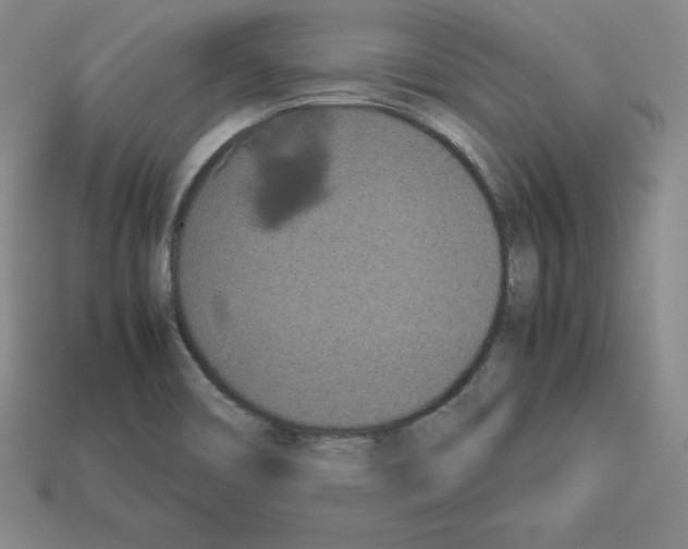 X0000112871466200910021322