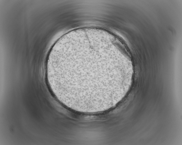 X0000112871467200910021322