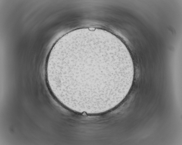 X0000112871471200910021322