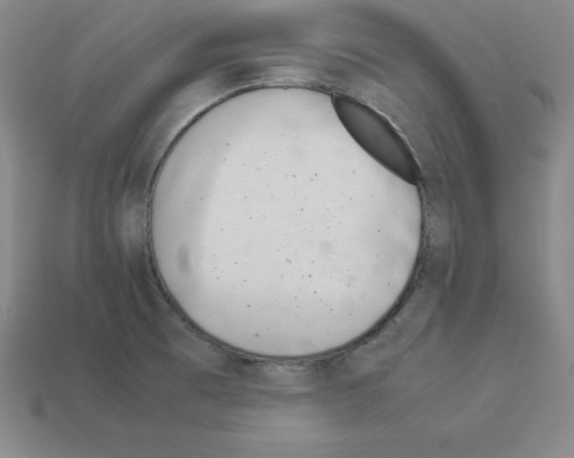 X0000112871473200910021322