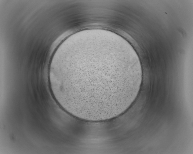 X0000112871474200910021322