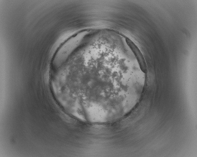 X0000112871477200910021322