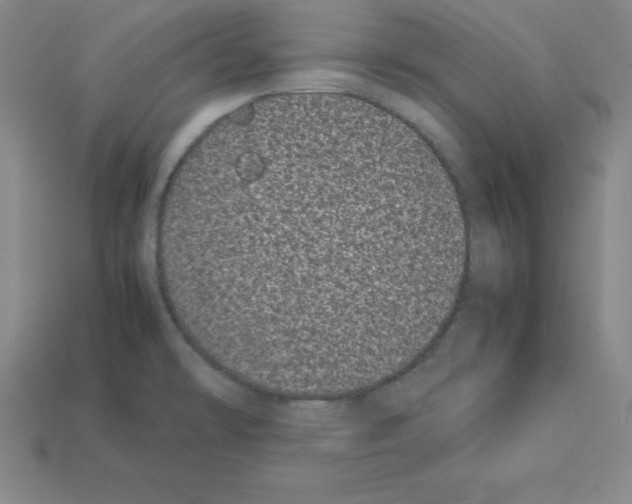 X0000112871478200910021322