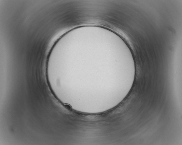 X0000112871480200910021322