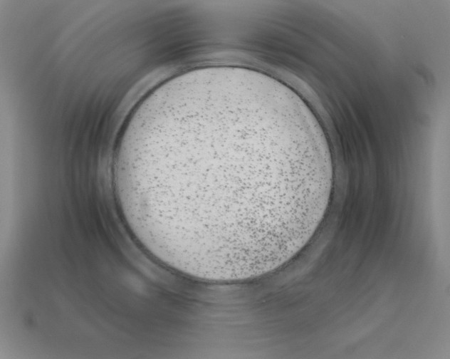 X0000112871482200910021322