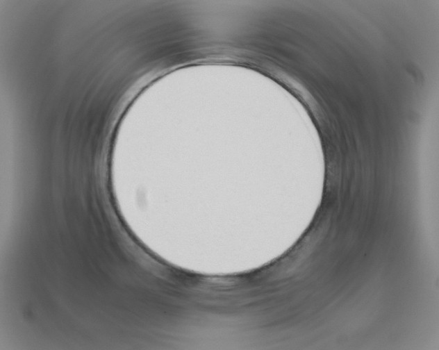 X0000112871483200910021322