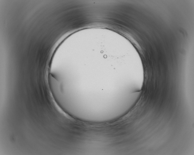 X0000112871484200910021322