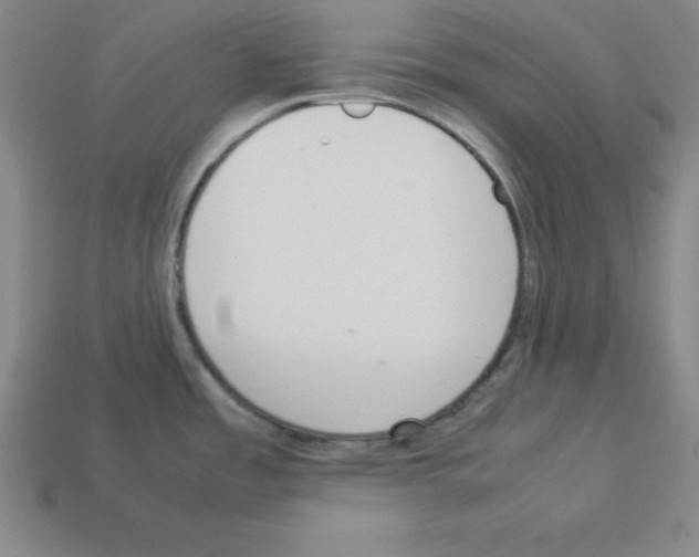 X0000112871485200910021322