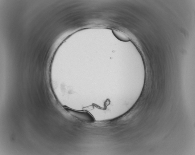 X0000112871488200910021322