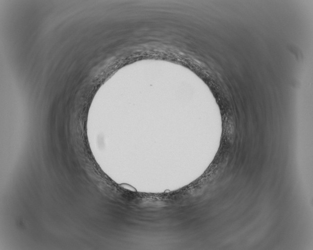 X0000112871489200910021321