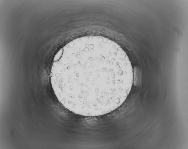 X0000112871491200910021321