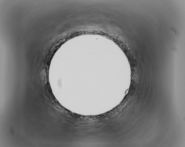 X0000112871493200910021321