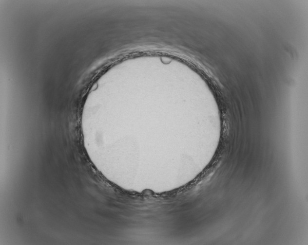 X0000112871494200910021321