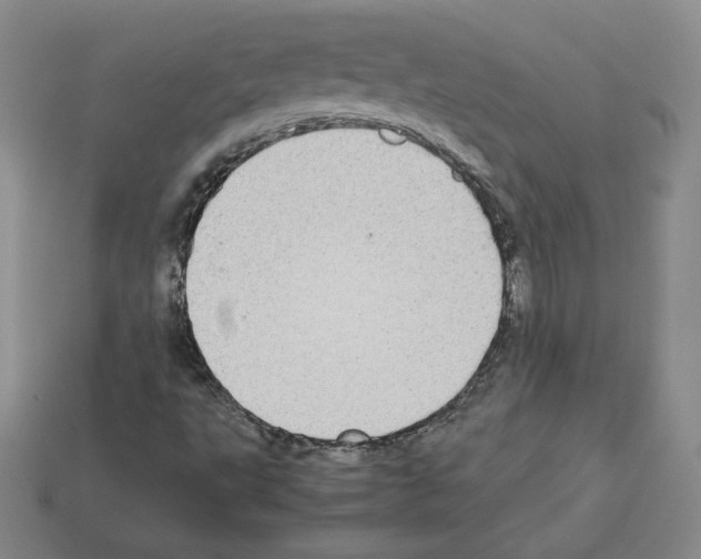 X0000112871495200910021321