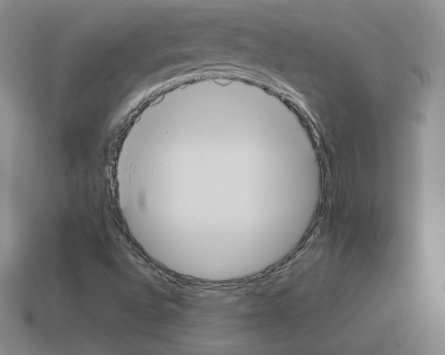 X0000112871496200910021321